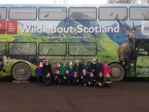 Wild About Scotland Bus
