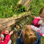 Making a bug hotel