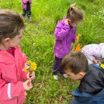 Boys and girls collecting wildflowers and weeds