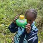 Little boy discovering insects